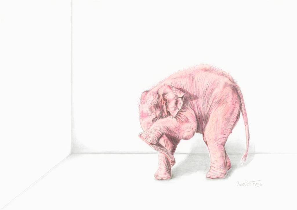 Dieses Bild hat ein leeres alt-Attribut; sein Dateiname ist elephant2.jpeg