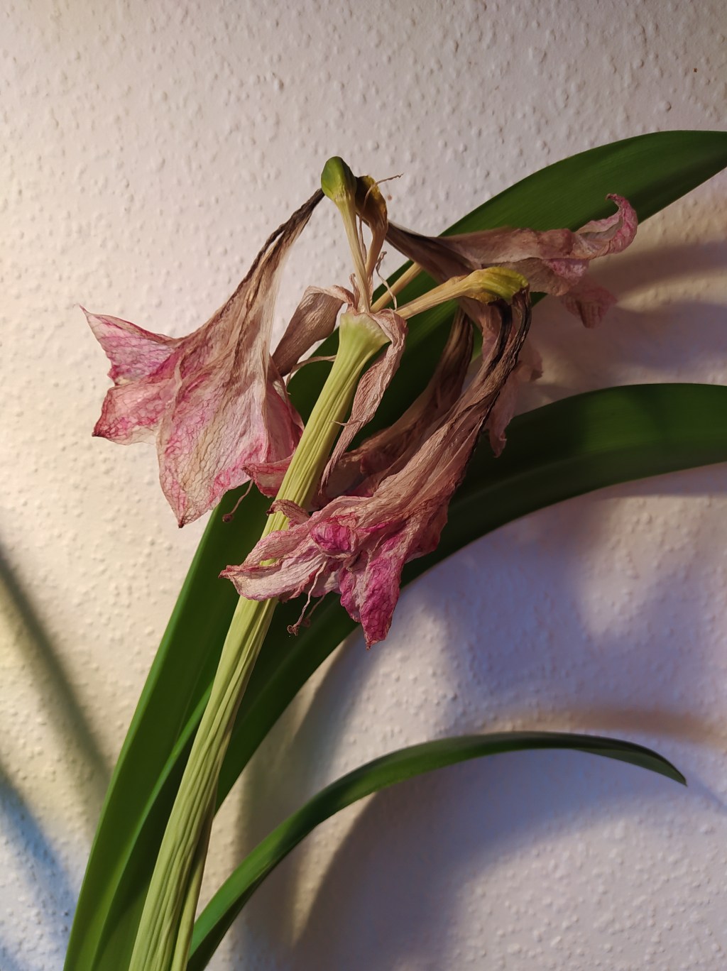 Warum Gesetze irrelevant sind und es auf jeden Einzelnen&nbsp;ankommt