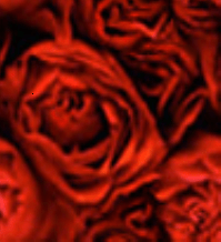 Wahlhelfer (14) – Absolute Klarheit