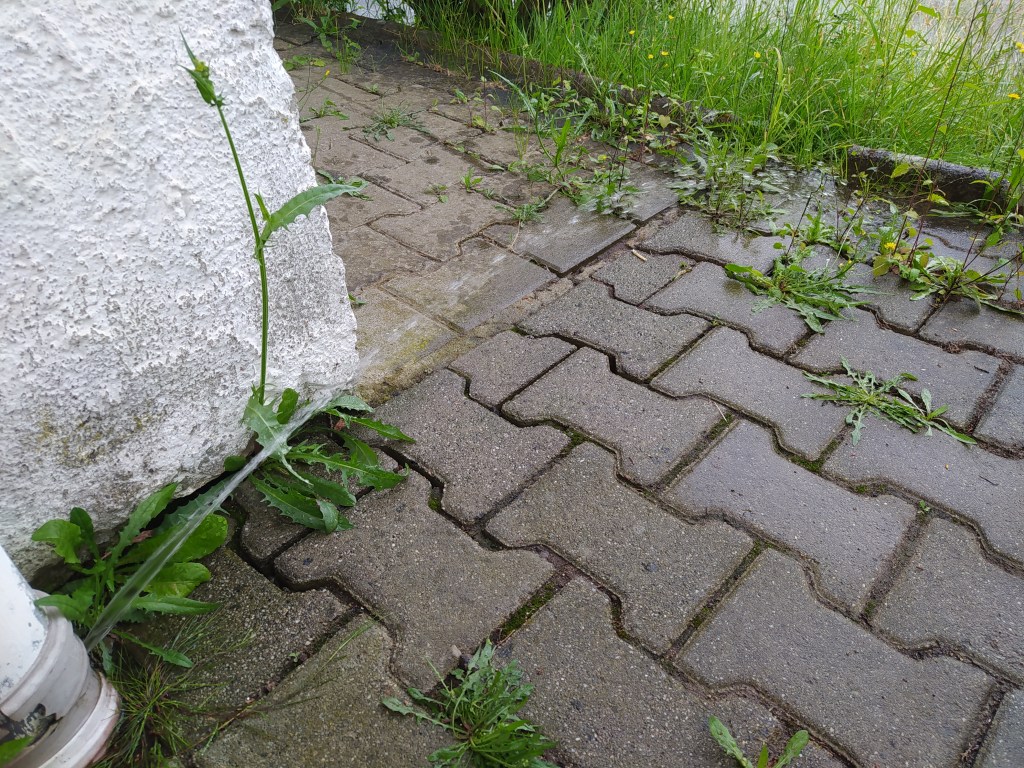 Hoffnung und Zuversicht